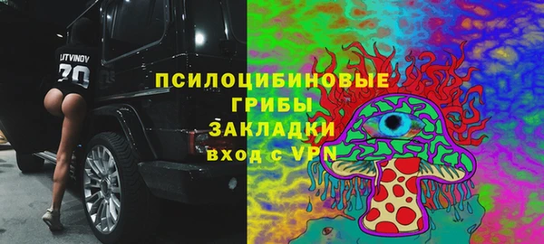 амф Покачи