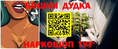 сатива Бийск