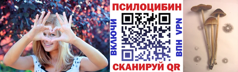 Псилоцибиновые грибы мицелий  KRAKEN как зайти  Волжск 