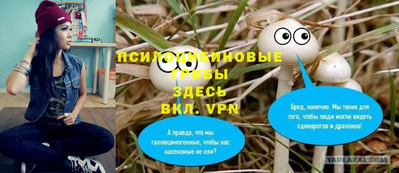 Псилоцибиновые грибы Magic Shrooms  OMG как войти  Волжск 