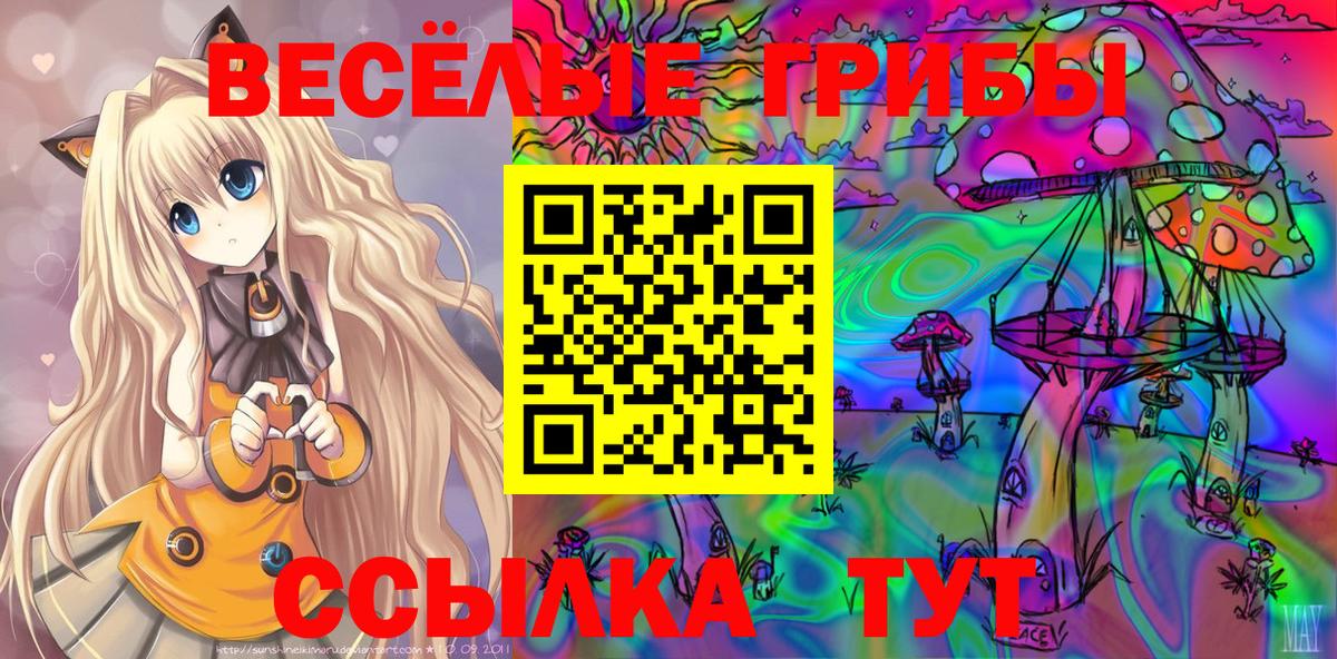 Волжск  Галлюциногенные грибы MAGIC MUSHROOMS  как найти   Вход с VPN 