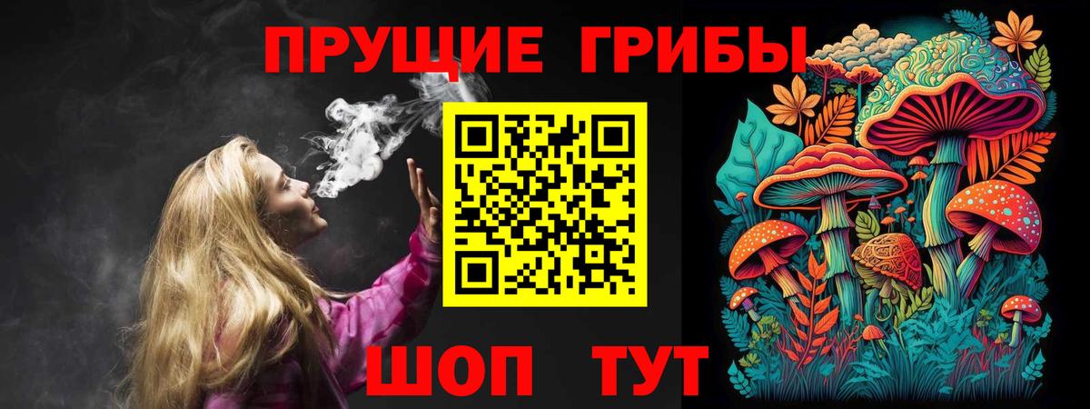 купить наркотики сайты  Галлюциногенные грибы Psilocybine cubensis  Волжск  Галлюциногенные грибы мухоморы 
